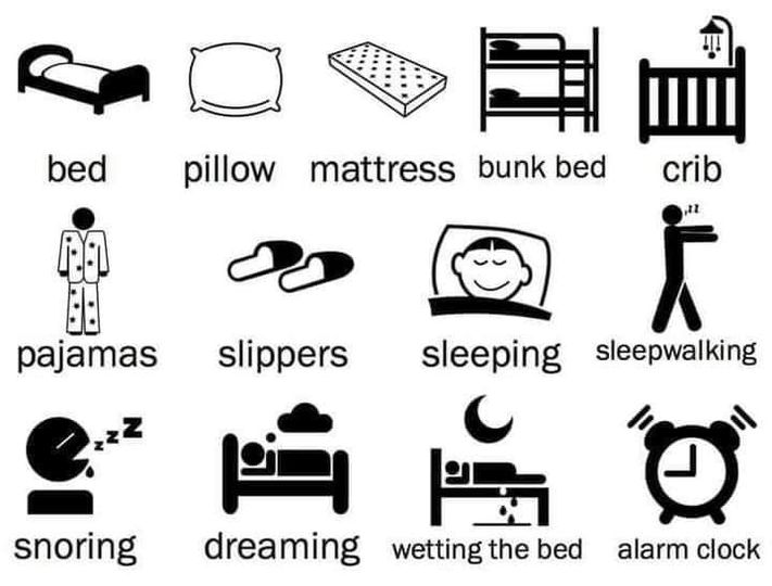 bed
