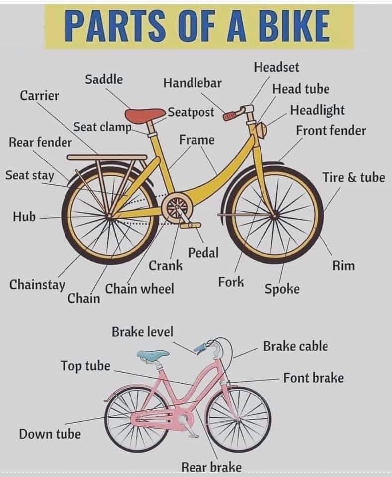bicycle