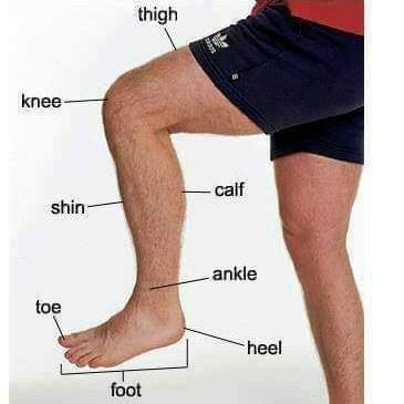body